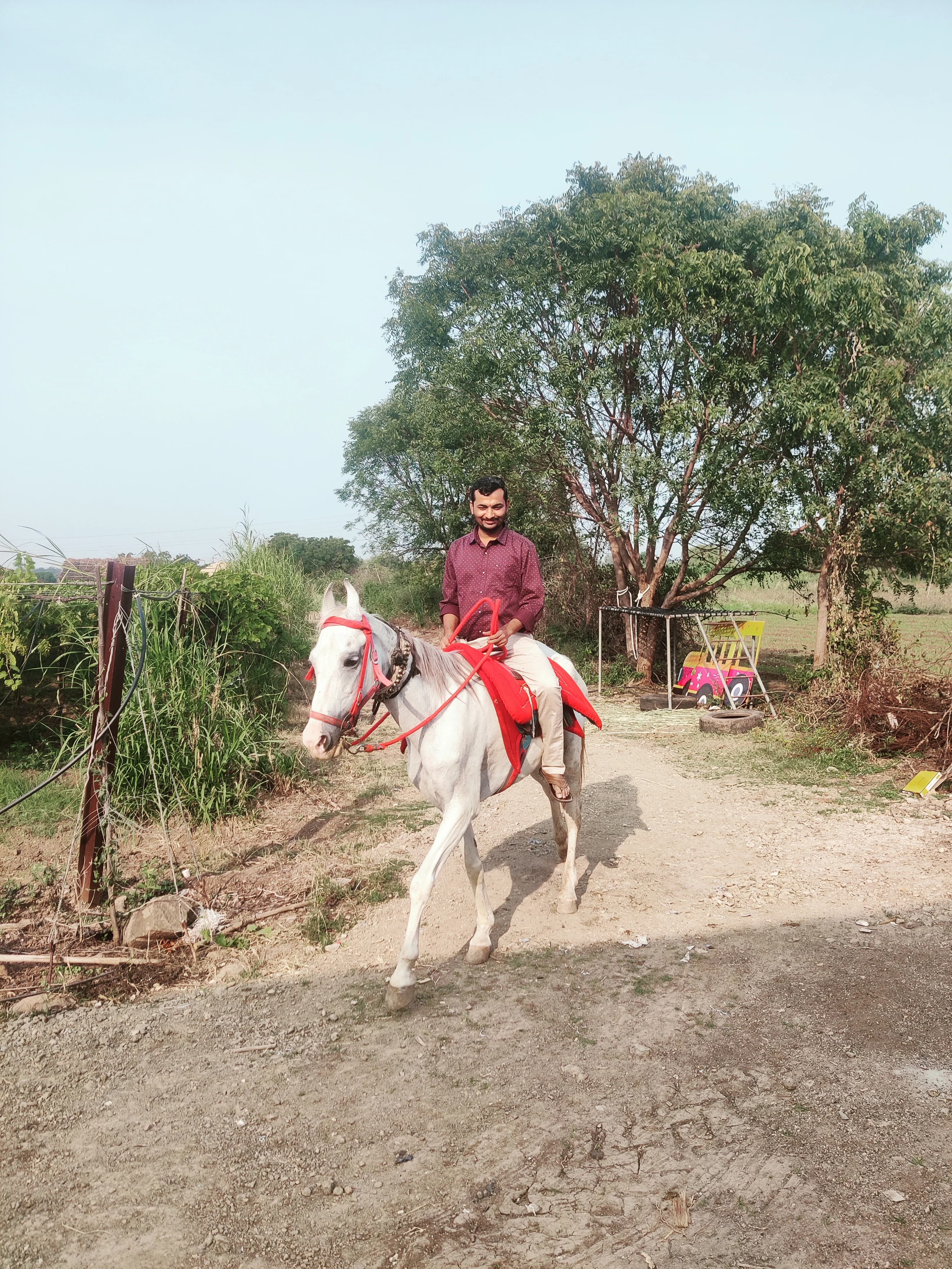 Horse Riding at the Farm House